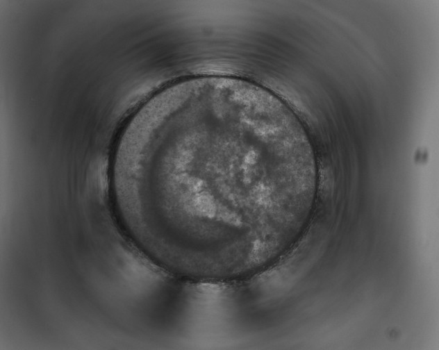 X0000101140302200807071132