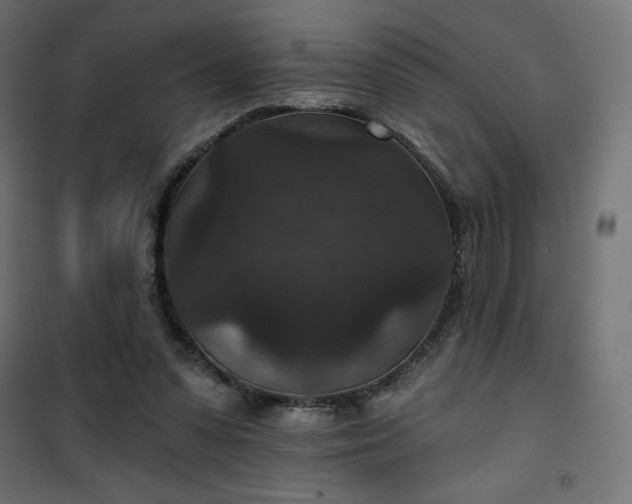 X0000101140303200807071132