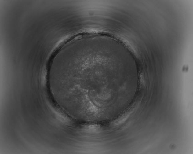 X0000101140304200807071132