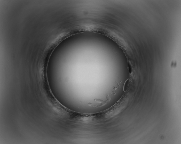 X0000101140306200807071132