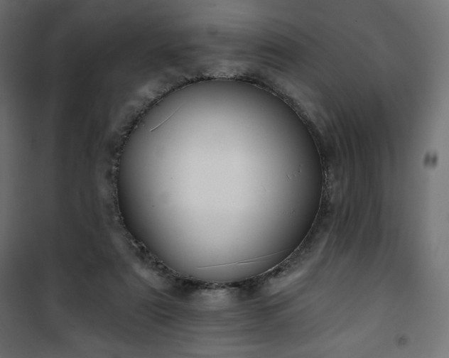 X0000101140307200807071132