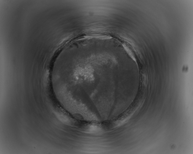 X0000101140308200807071132