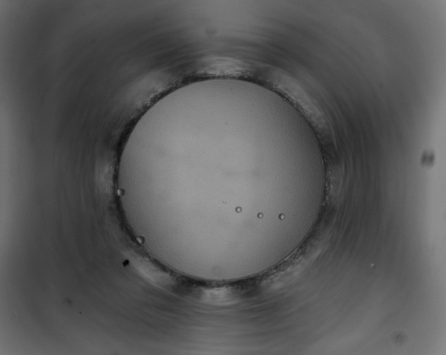 X0000101140309200807071132