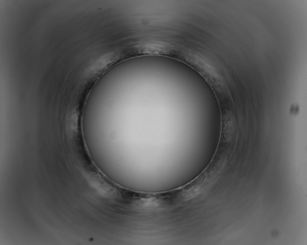 X0000101140310200807071132