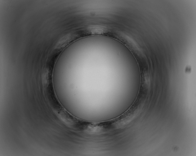 X0000101140311200807071132