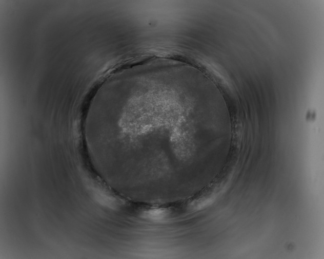 X0000101140312200807071132