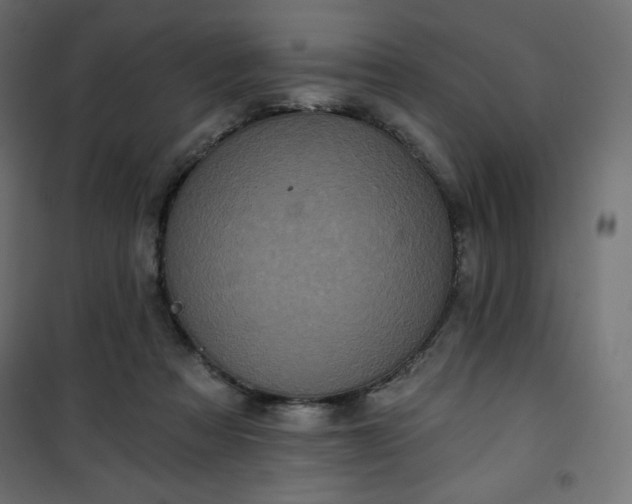 X0000101140313200807071132