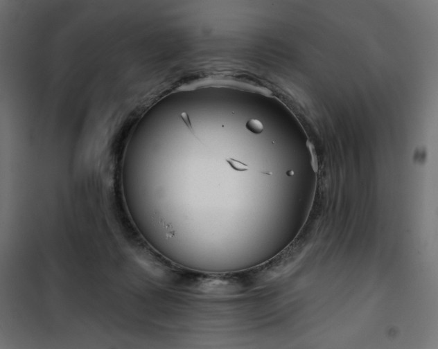 X0000101140315200807071132