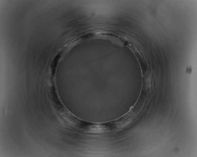 X0000101140316200807071132