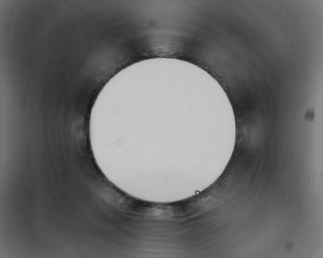 X0000101140317200807071132