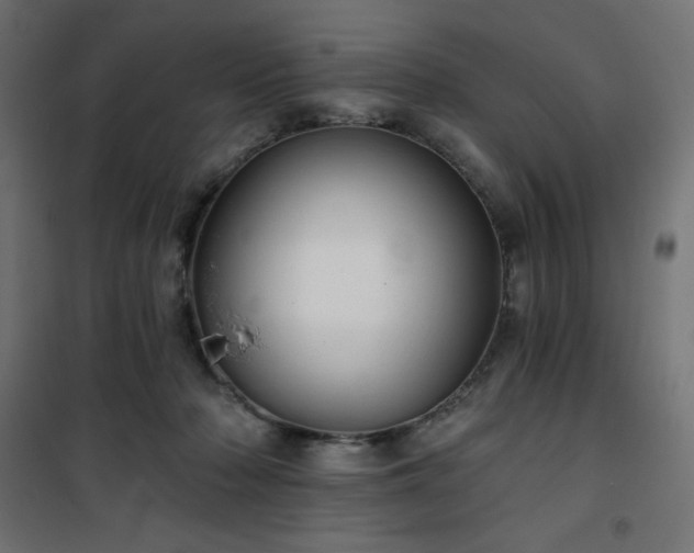 X0000101140318200807071132