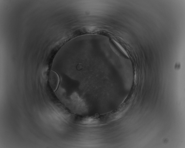 X0000101140319200807071132