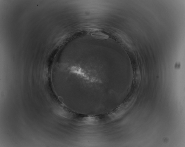 X0000101140320200807071132