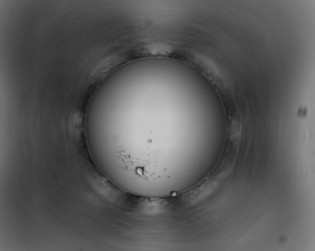 X0000101140321200807071132