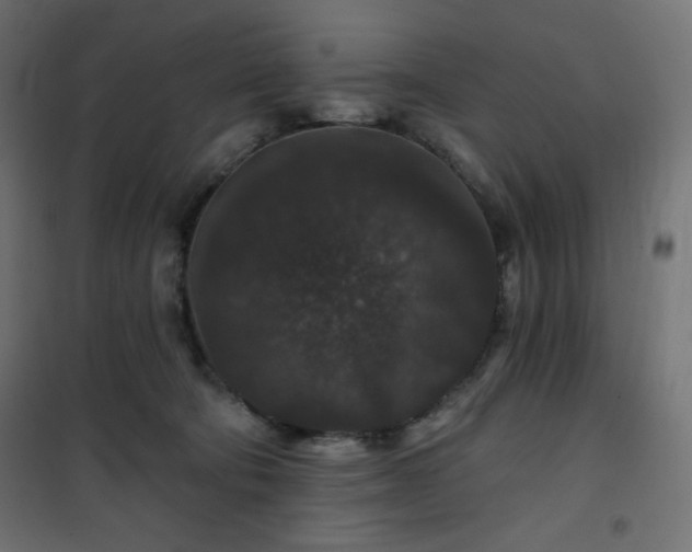 X0000101140322200807071132