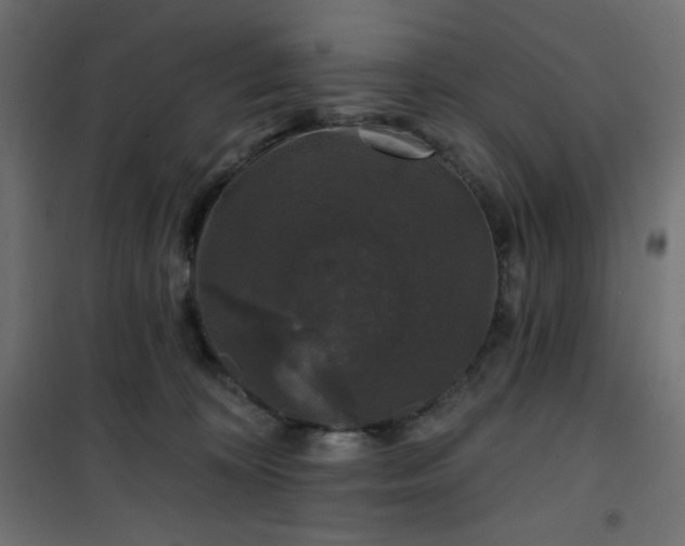 X0000101140324200807071132