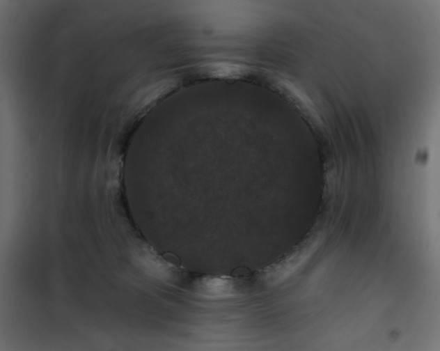 X0000101140325200807071132