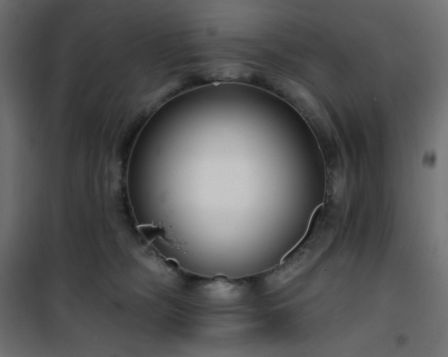 X0000101140326200807071132