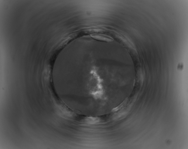 X0000101140328200807071132