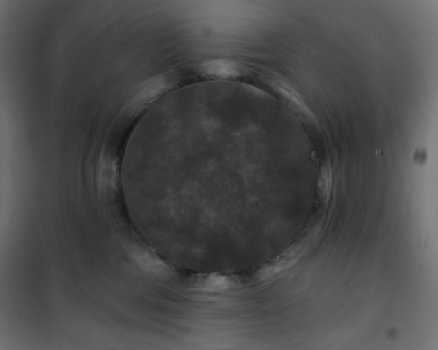 X0000101140330200807071132