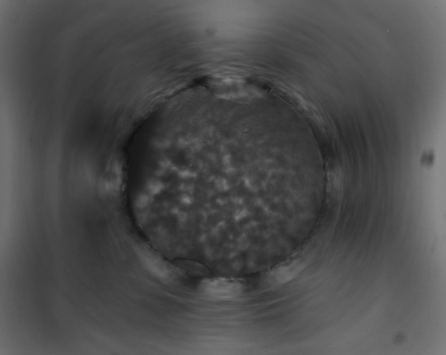 X0000101140331200807071132