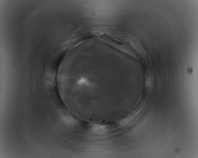 X0000101140332200807071132