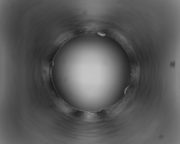 X0000101140333200807071132