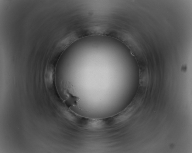 X0000101140334200807071132