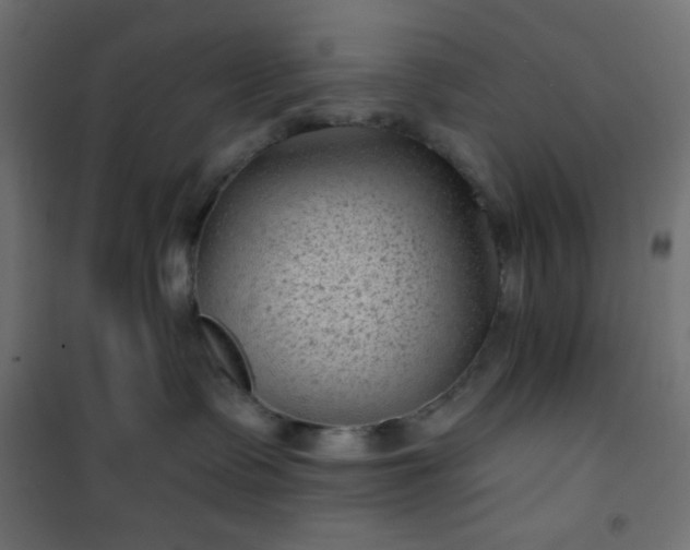 X0000101140335200807071132