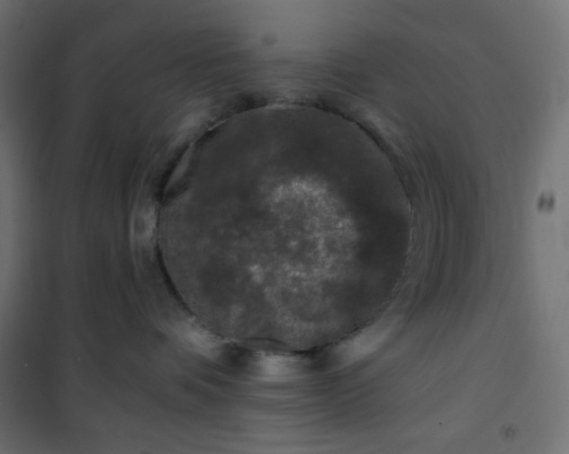 X0000101140336200807071132