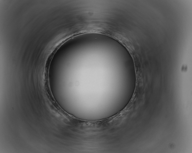 X0000101140338200807071131