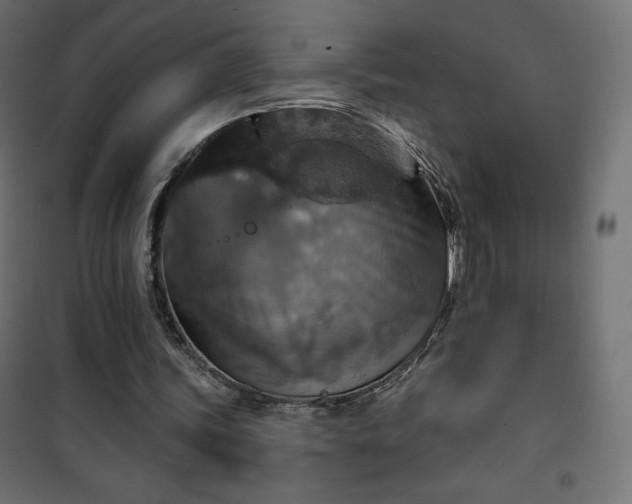 X0000101140339200807071131