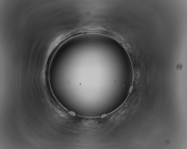 X0000101140340200807071131