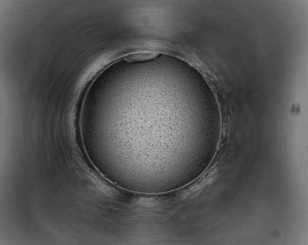 X0000101140341200807071131