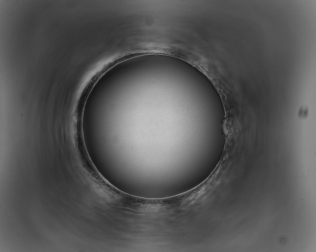 X0000101140342200807071131