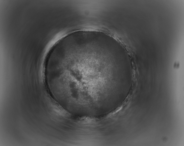 X0000101140343200807071131