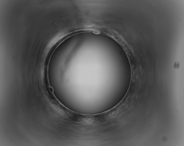 X0000101140344200807071131