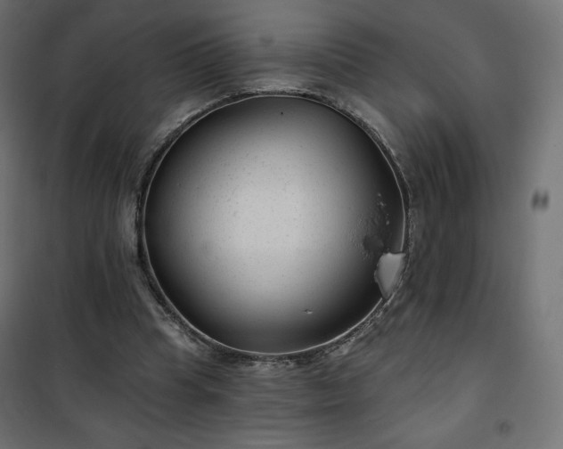 X0000101140345200807071131