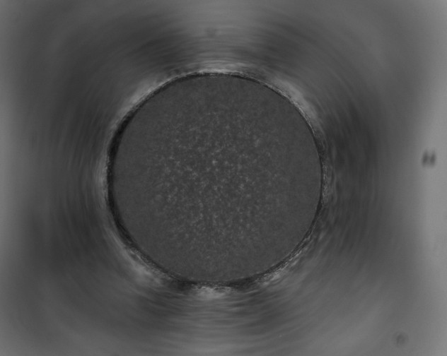 X0000101140346200807071131