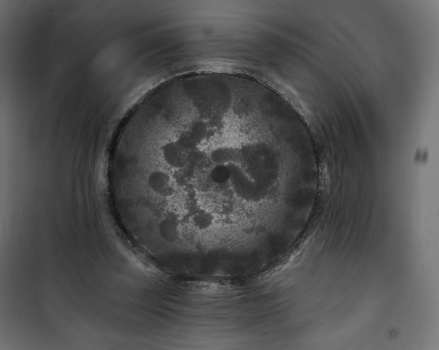 X0000101140347200807071131