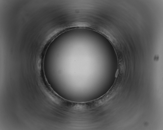 X0000101140350200807071131