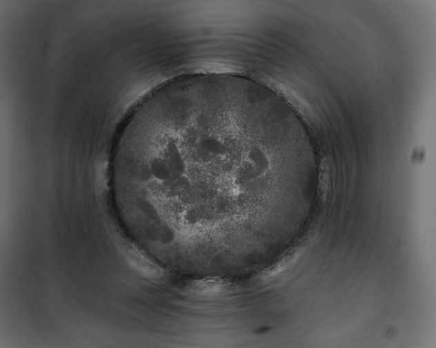 X0000101140351200807071131