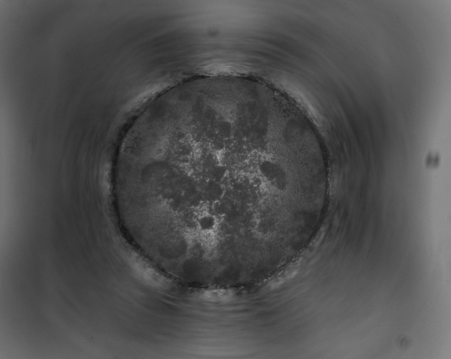 X0000101140353200807071131