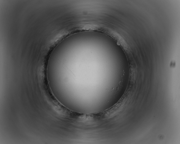 X0000101140354200807071131