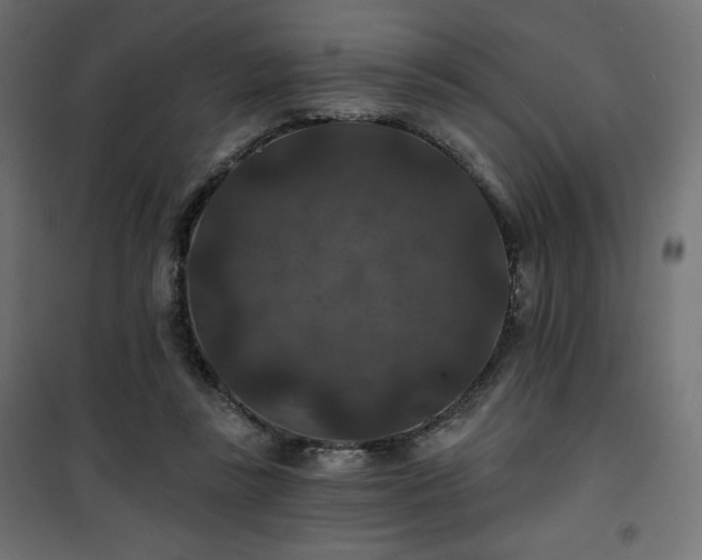 X0000101140355200807071131