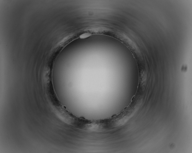 X0000101140356200807071131