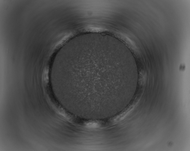 X0000101140358200807071131