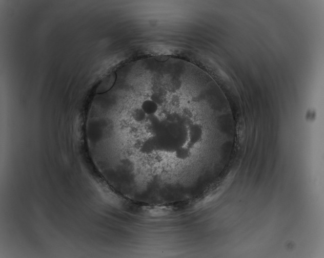 X0000101140359200807071131