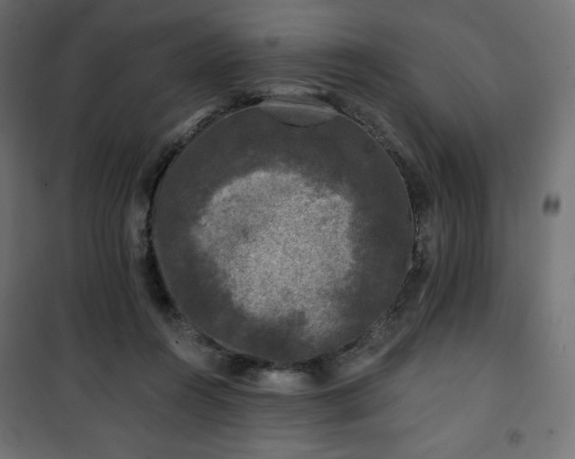 X0000101140360200807071131