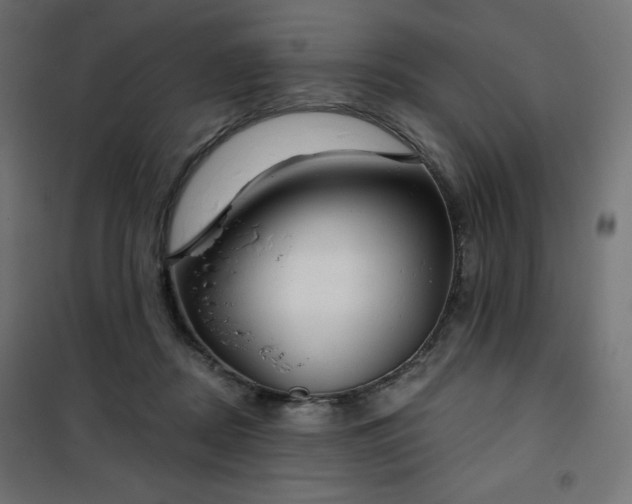 X0000101140362200807071131